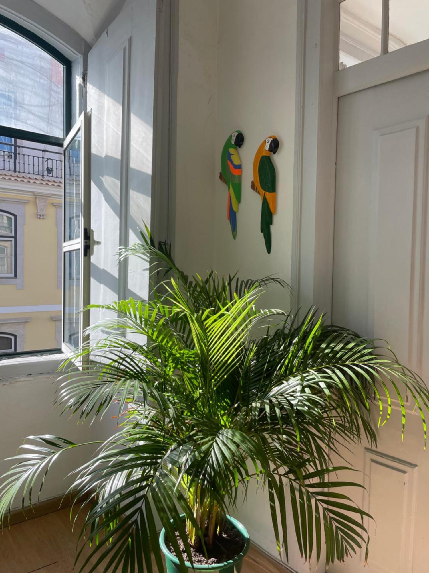 Chiado Home Lisbon Exterior photo